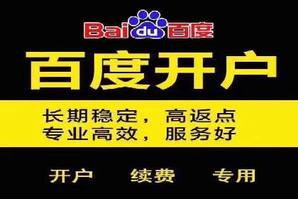百度推广费用案例分析：如何提高ROI